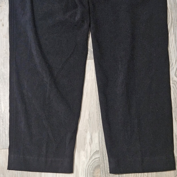 LL Bean faux suade style pants side zip size 8 regular - Picture 7 of 14